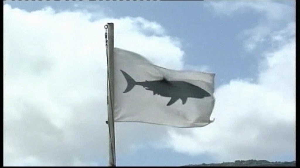 Útok_žralok_vlajka